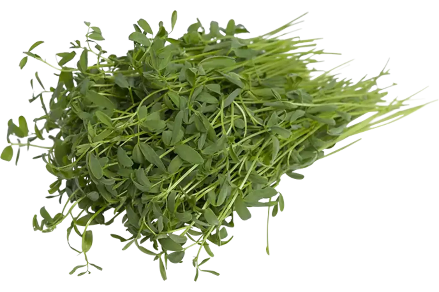Linzen cress 25gr stuk 1
